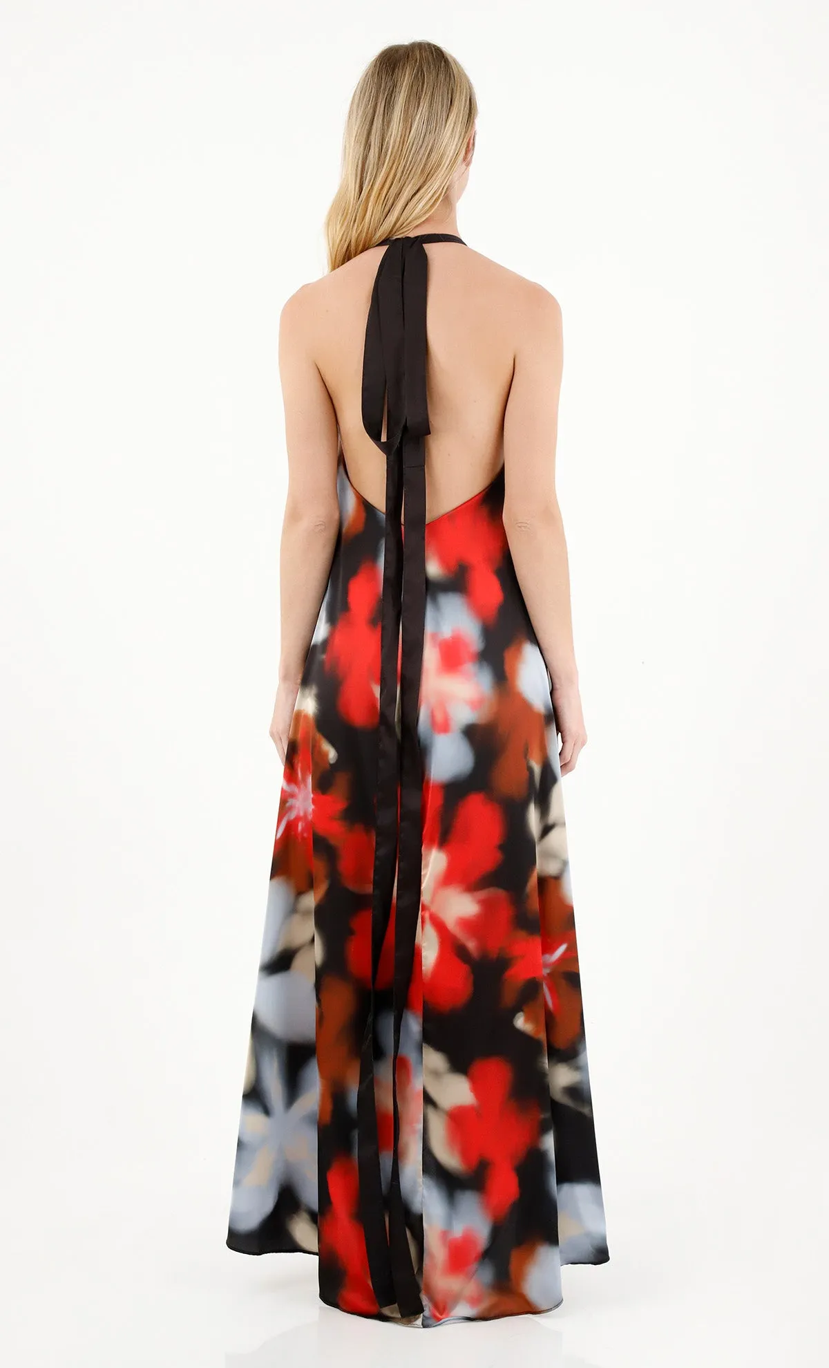 Alejandra Haze Maxi Dress