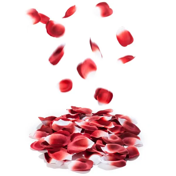 Bijoux Indiscrets Scented Rose Petal Explosion