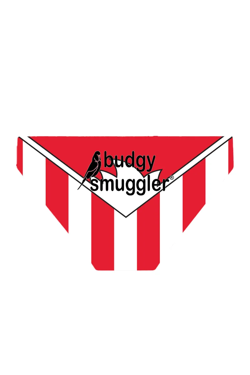 Boys in Sydney Swans 1997 | Made to Order