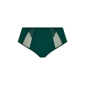 Brianna Full Brief - Rainforest