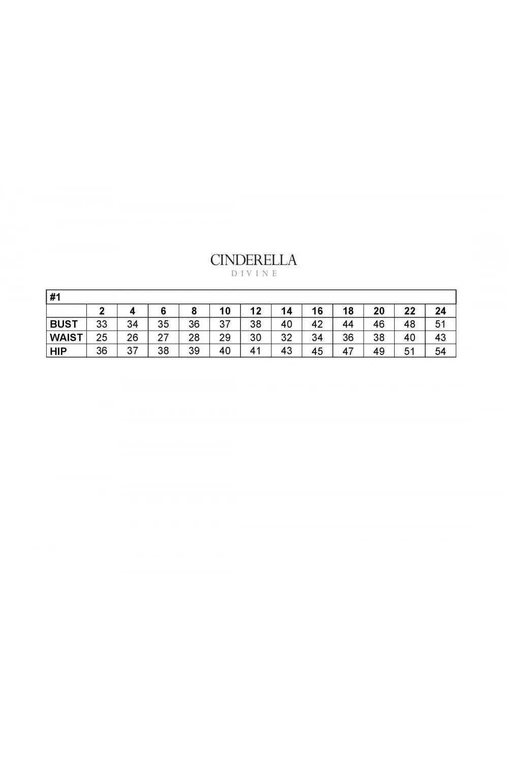 Cinderella Evening Dress CD983