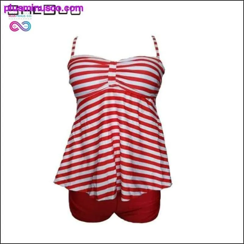 Dots Print Brazilian Monokini Skirt Swimsuit