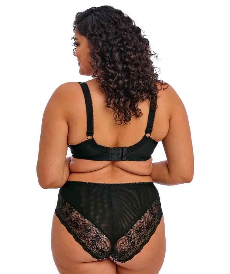 Elomi Morgan High Leg Brief - Summer Garden