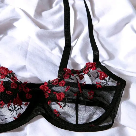 Embroidery Mesh Underwire Bra &amp; Panty Lingerie Set