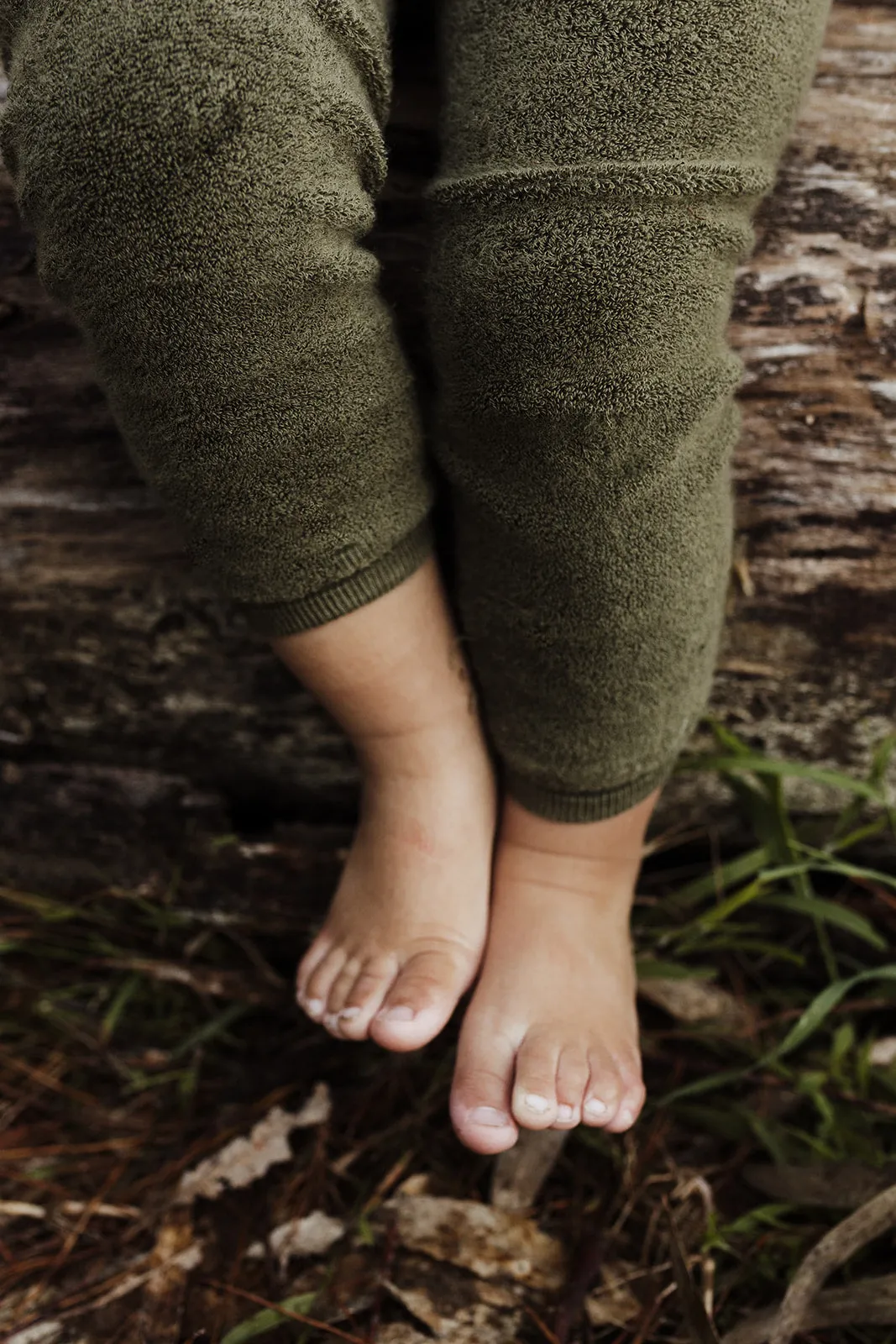 FOOTLESS TEDDY WARMY SILLY SILAS TIGHTS OLIVE
