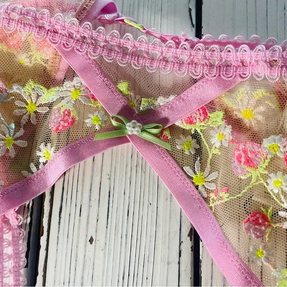 For Love &amp; Lemons Tutti Frutti Shimmer Strawberry Embroidered Garter Belt Sz S