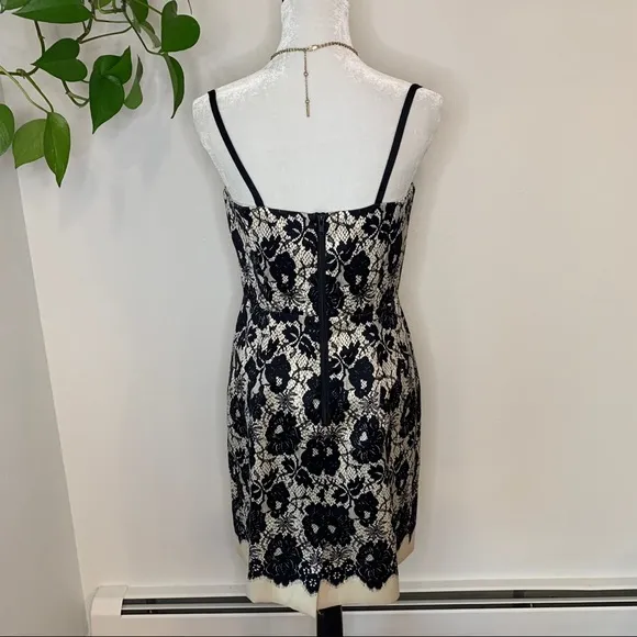 Genevieve Lace Illusion Original Milly of New York Dress.