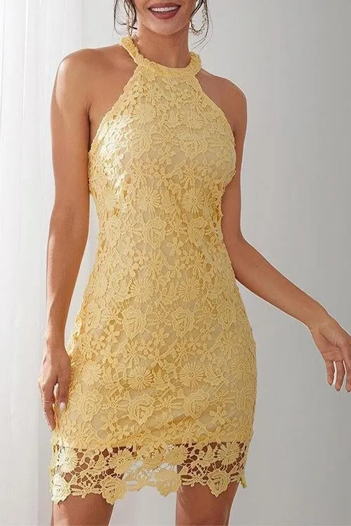Halter Neck Lace Bodycon Dress