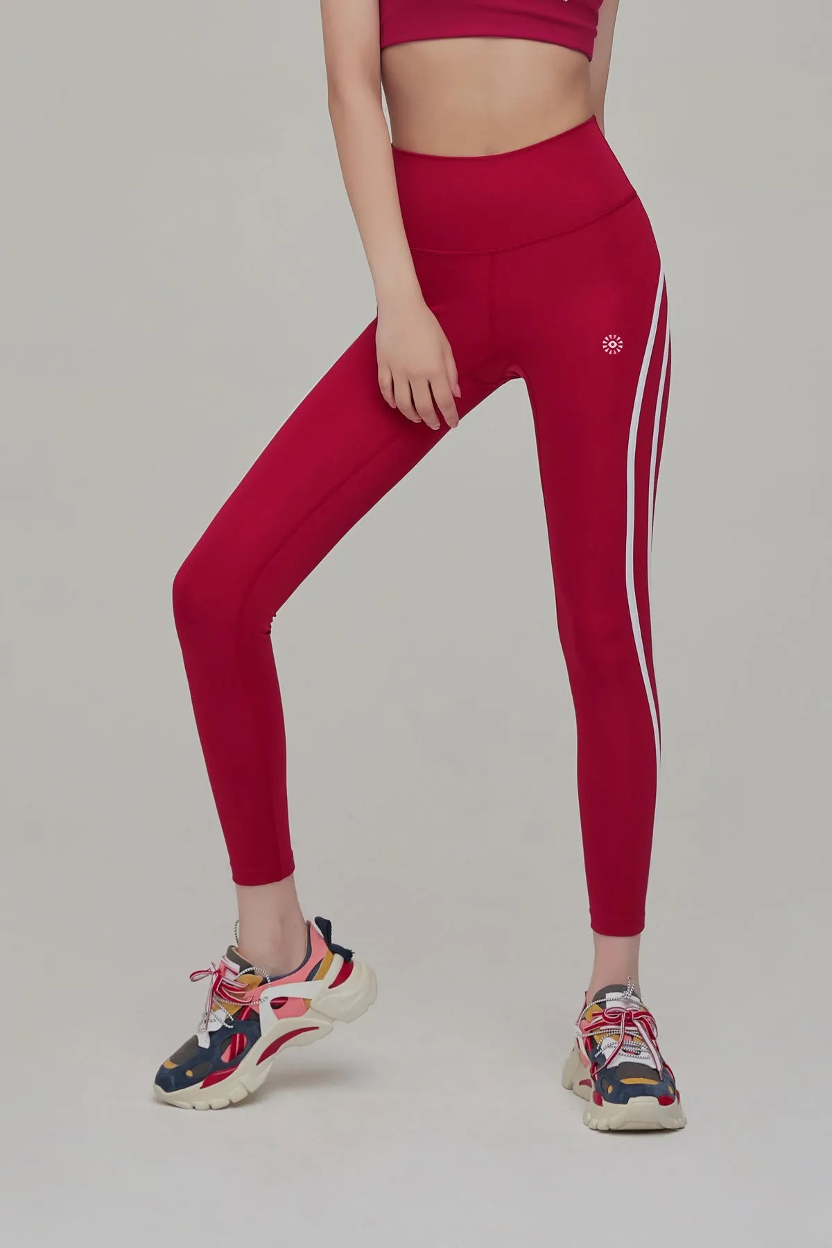 Lifting Stripe High Performance Leggings