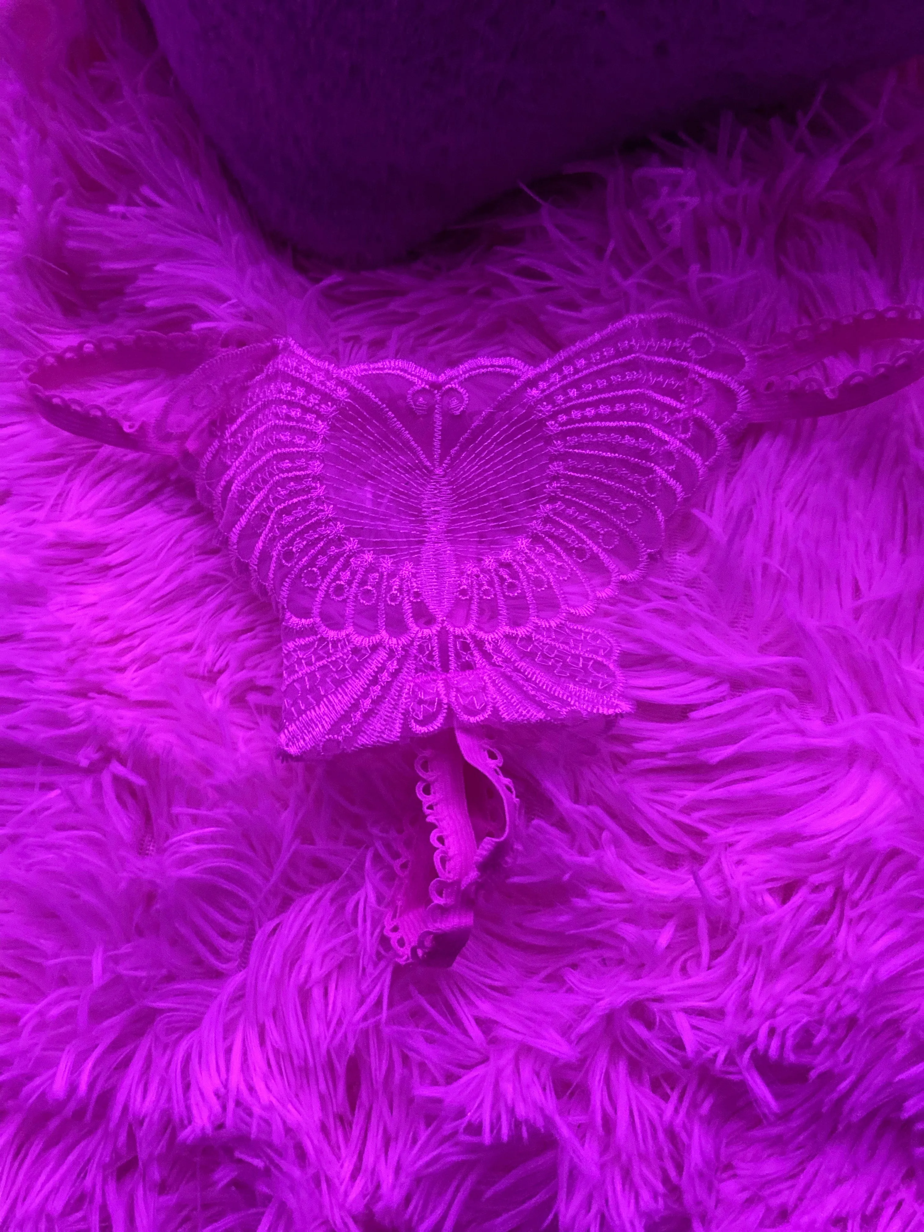 My “little secret “ reversible butterfly panties
