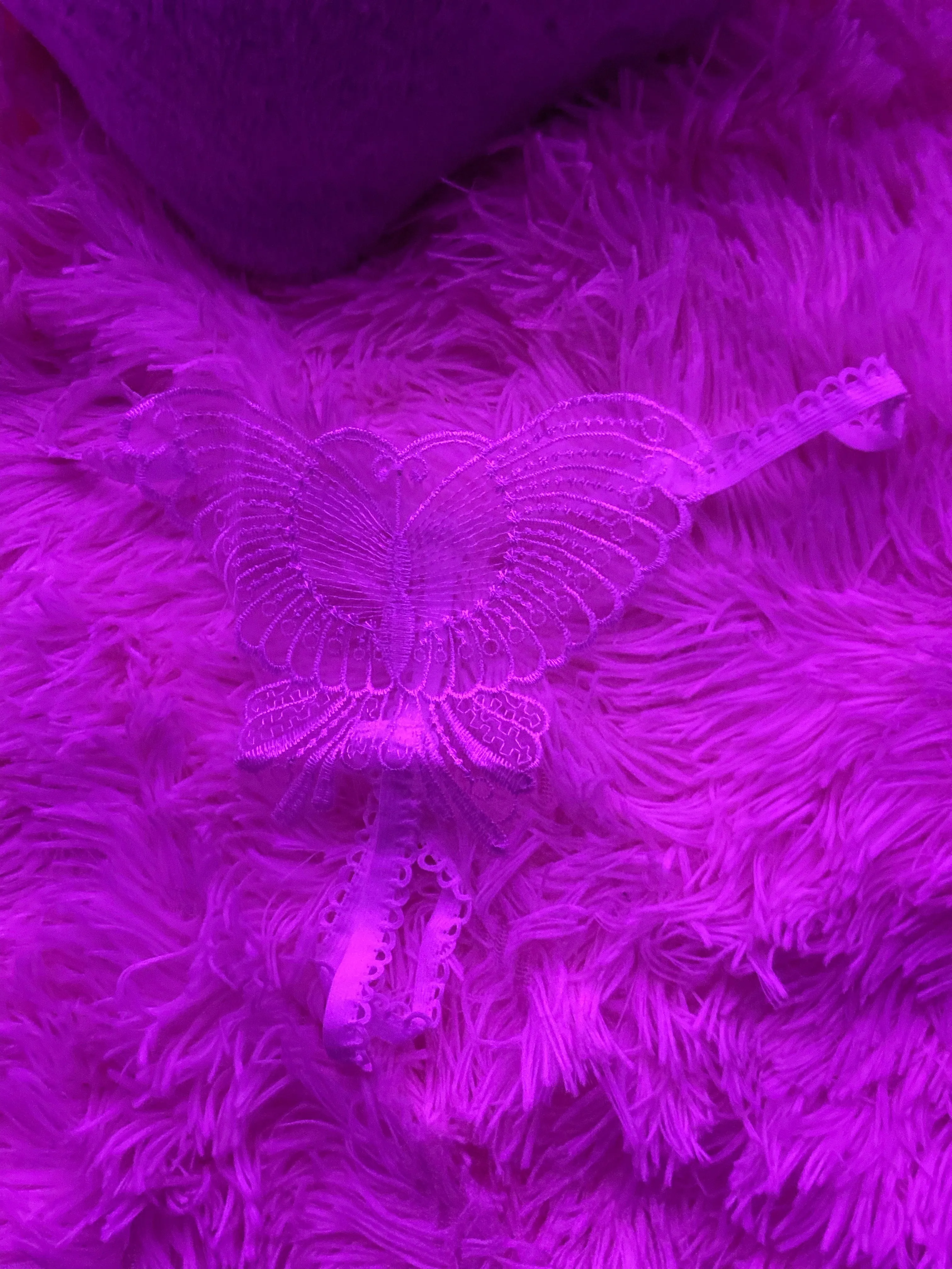My “little secret “ reversible butterfly panties