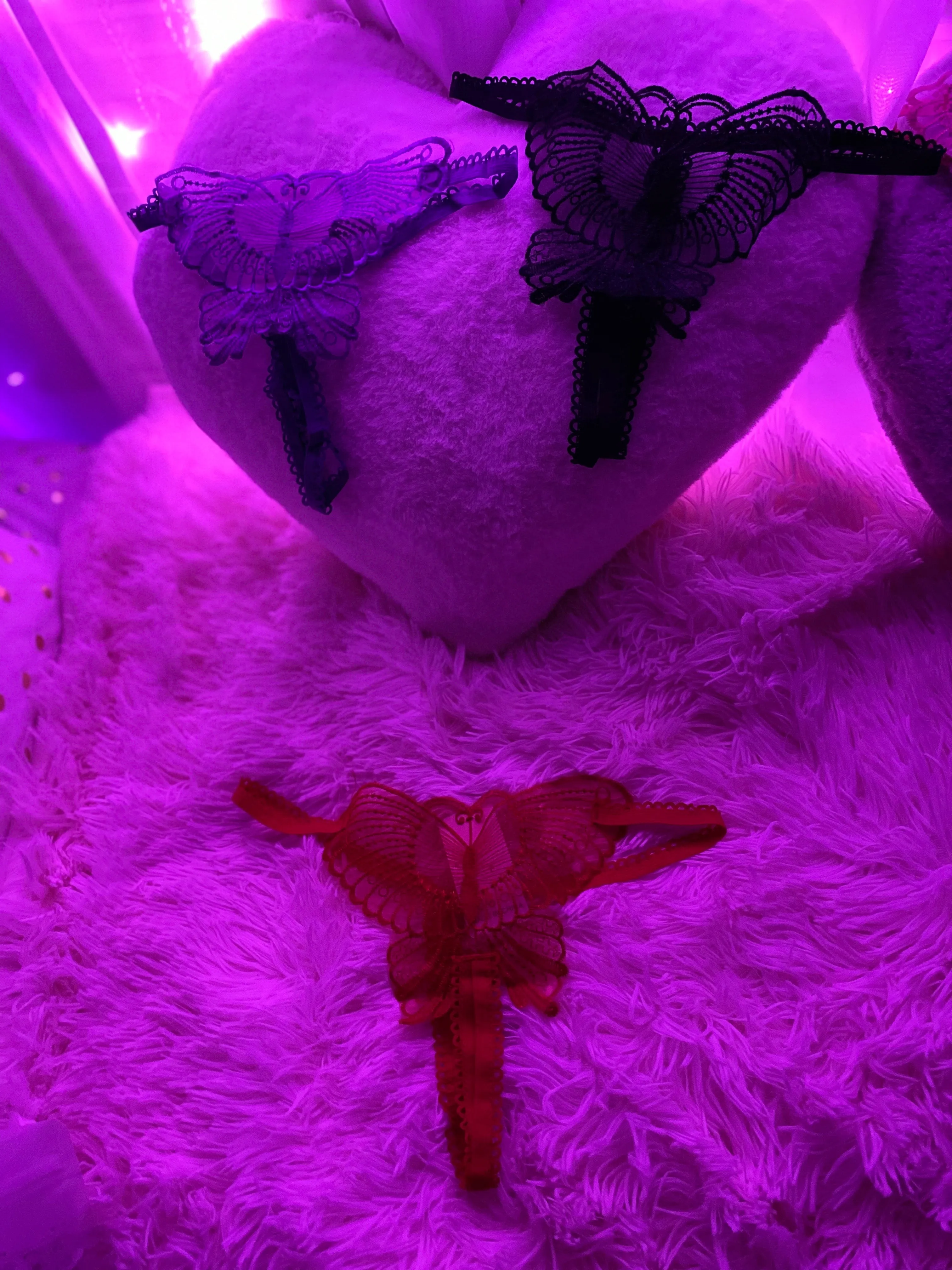 My “little secret “ reversible butterfly panties