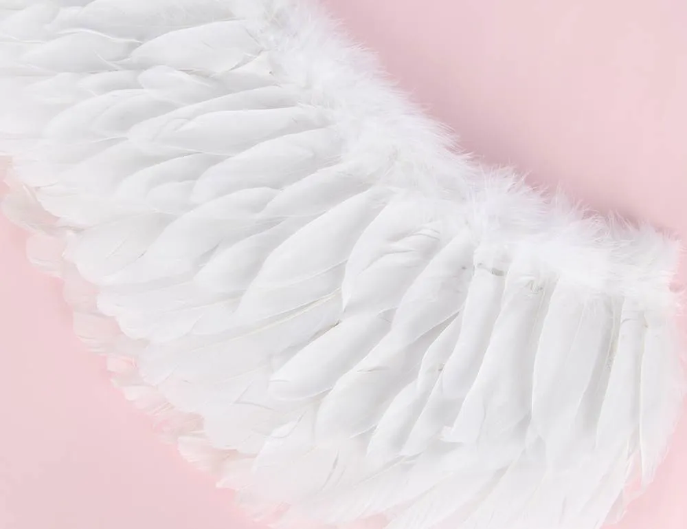 New Angel Feather Wings Decoration White & Black Lace Sexy Bodysuit