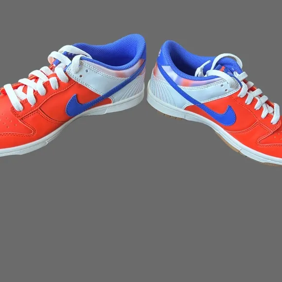 Nike Dunk Low SE GS Everything You Need Kids Youth Casual Shoes FN0600-801 5.5Y