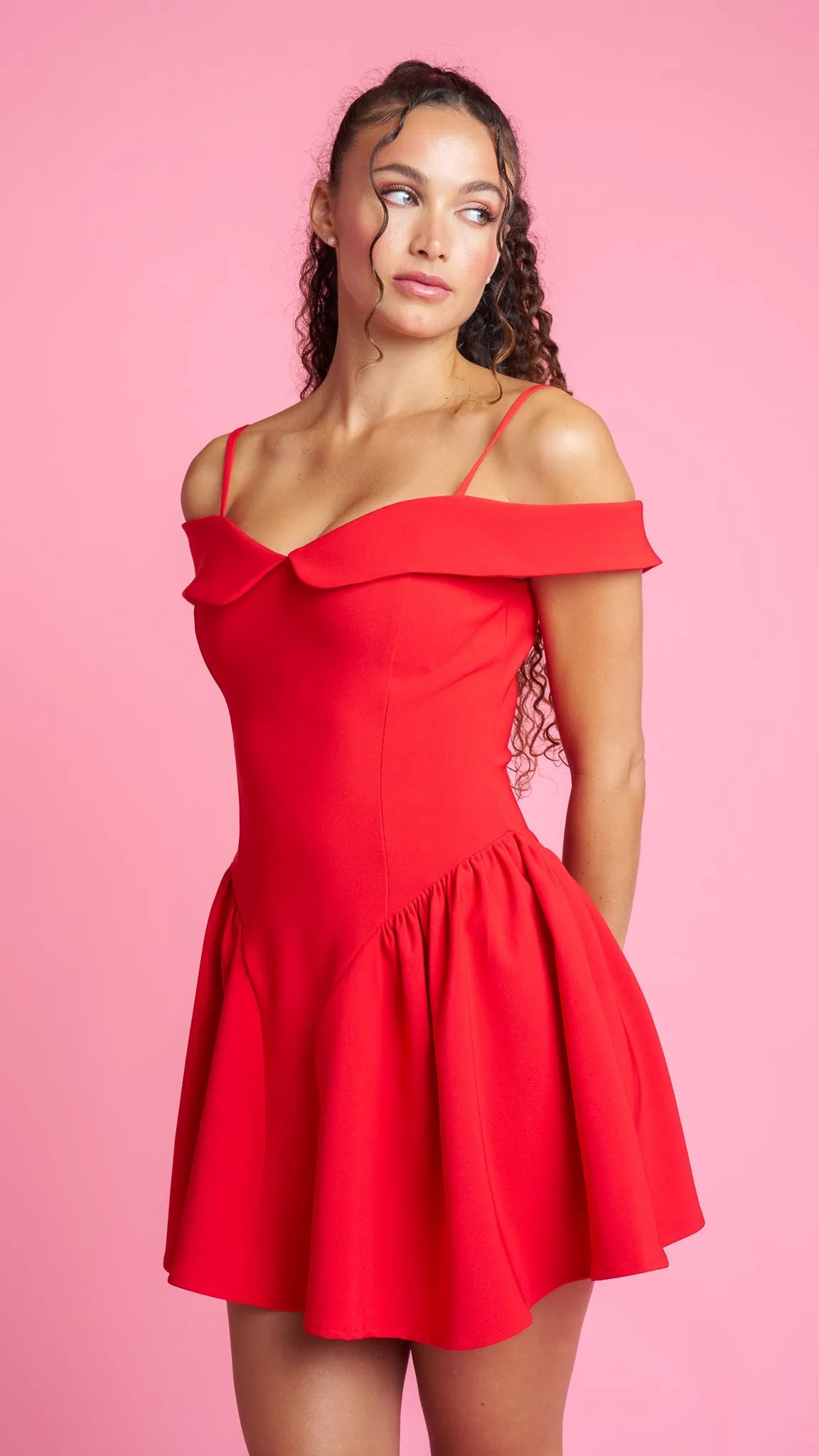 Queen of Hearts Mini Dress