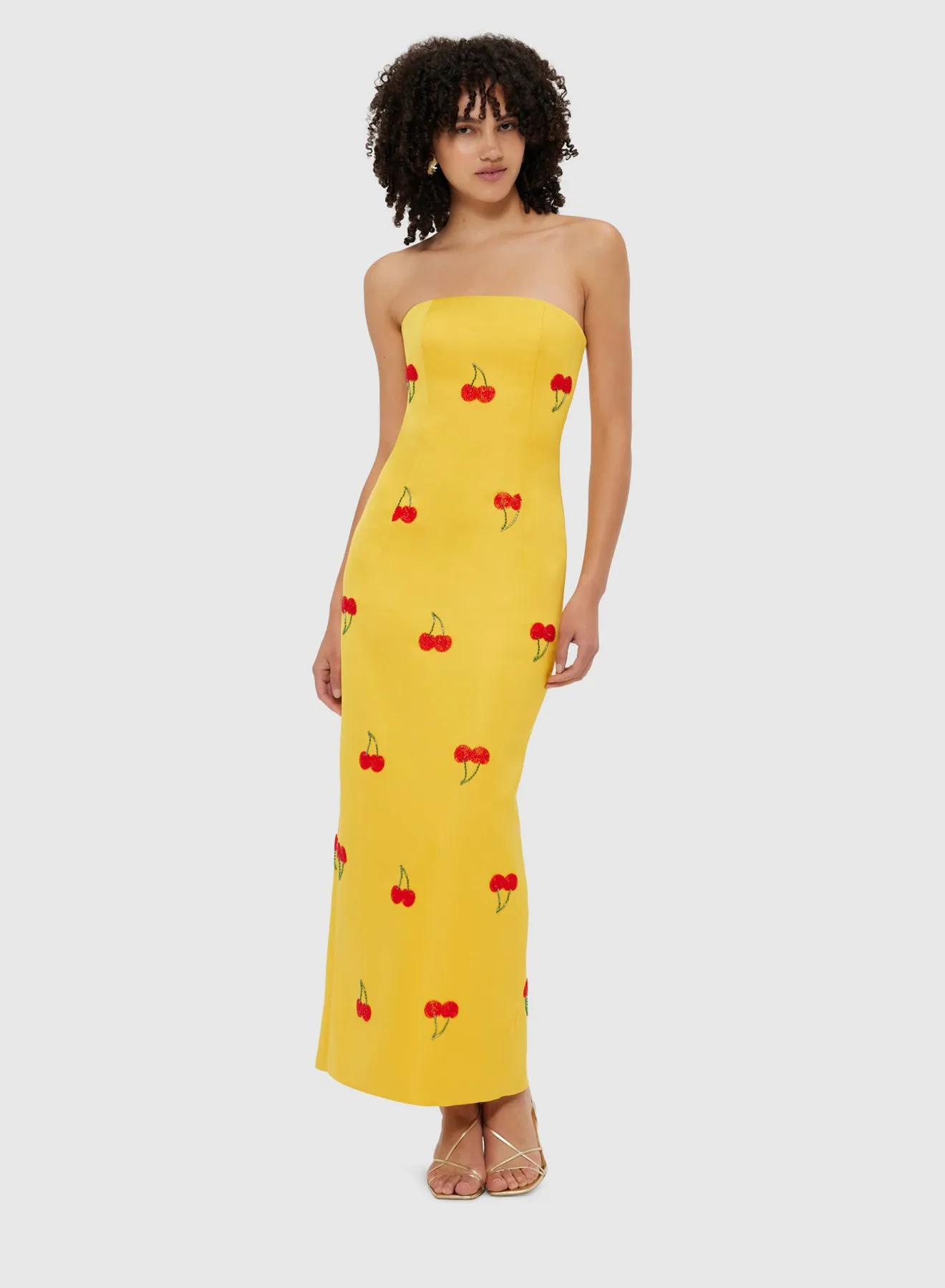 Rayma Embellished Bustier Maxi Dress