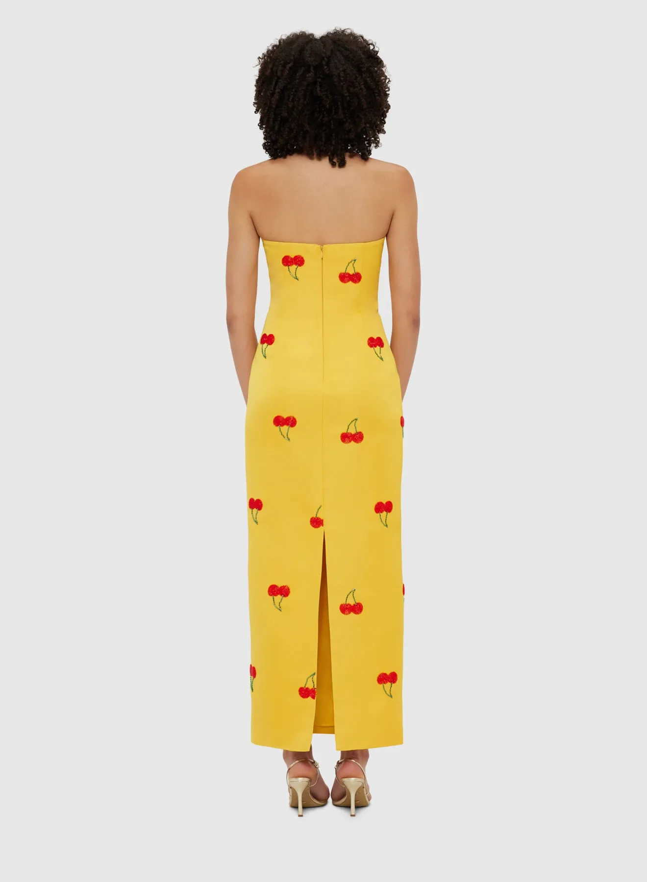Rayma Embellished Bustier Maxi Dress