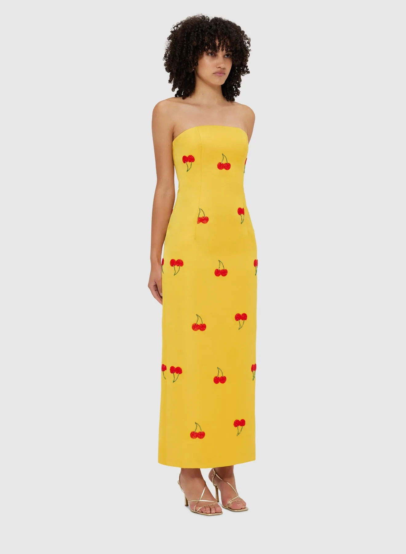 Rayma Embellished Bustier Maxi Dress