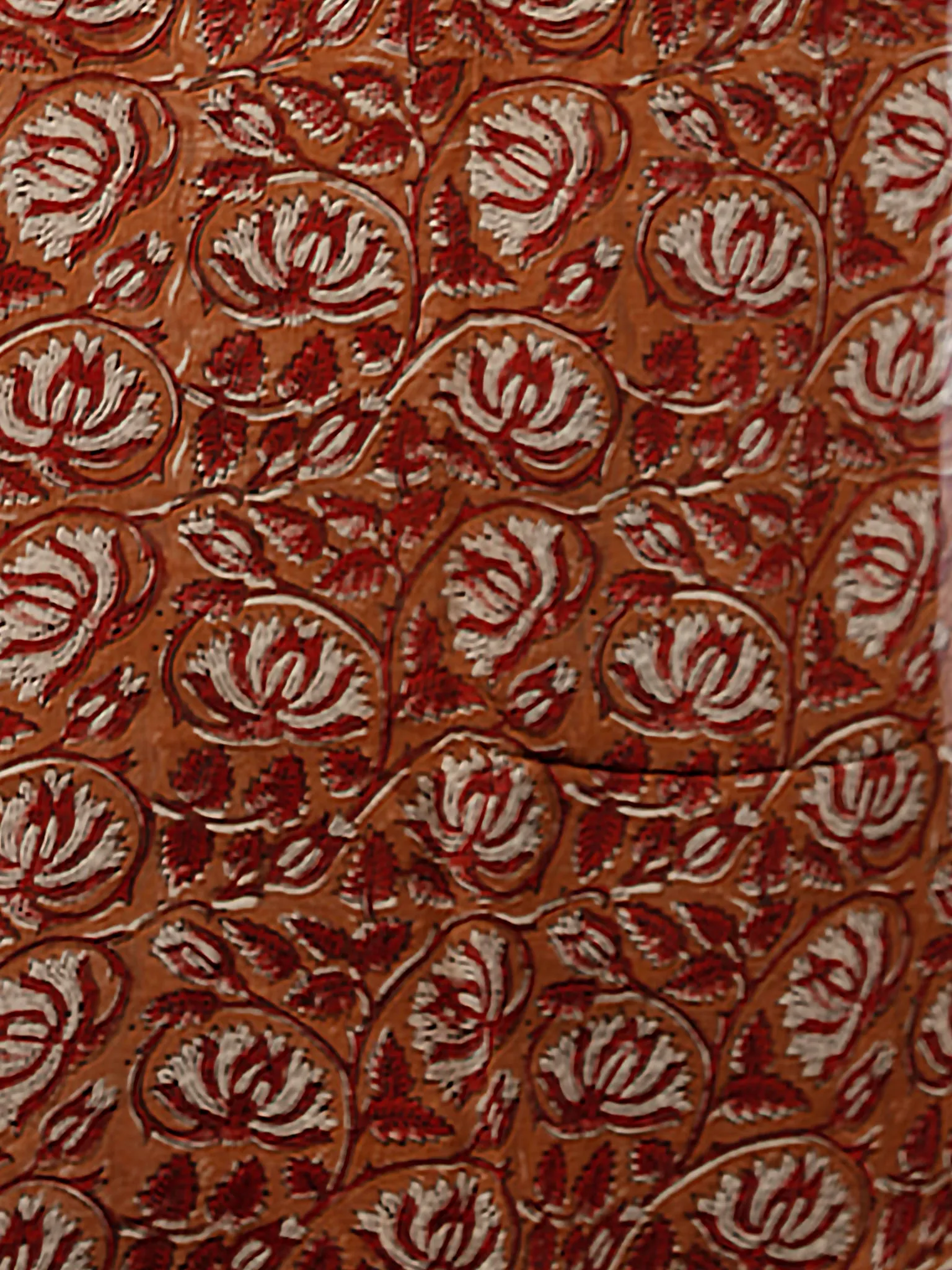 Rust Ivory Red Hand Block Printed Chiffon Saree with Zari Border - S031703251