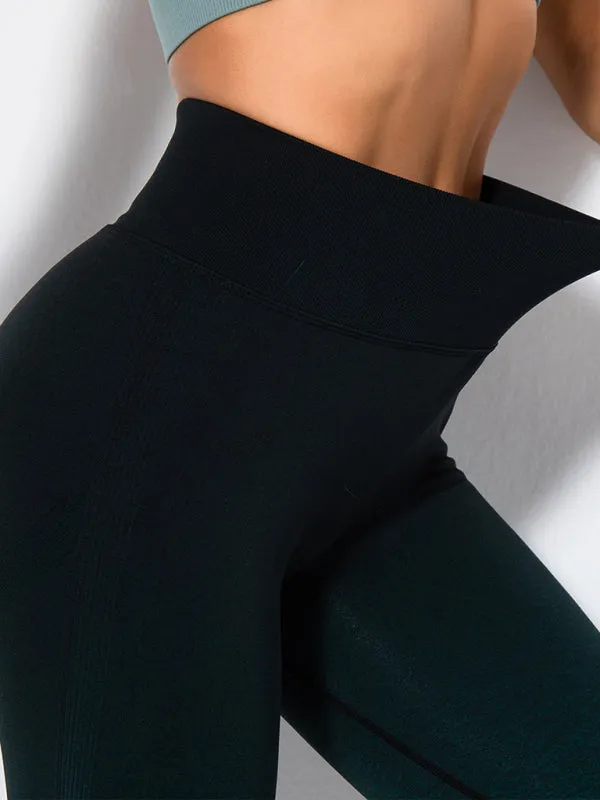 SculptFit Seamless Radiance Leggings