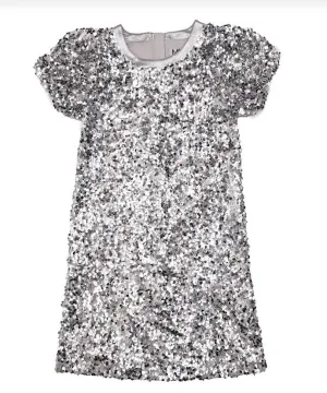 Silver Sequin Dress..