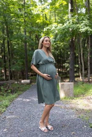 The Irene Maternity & Nursing Dress