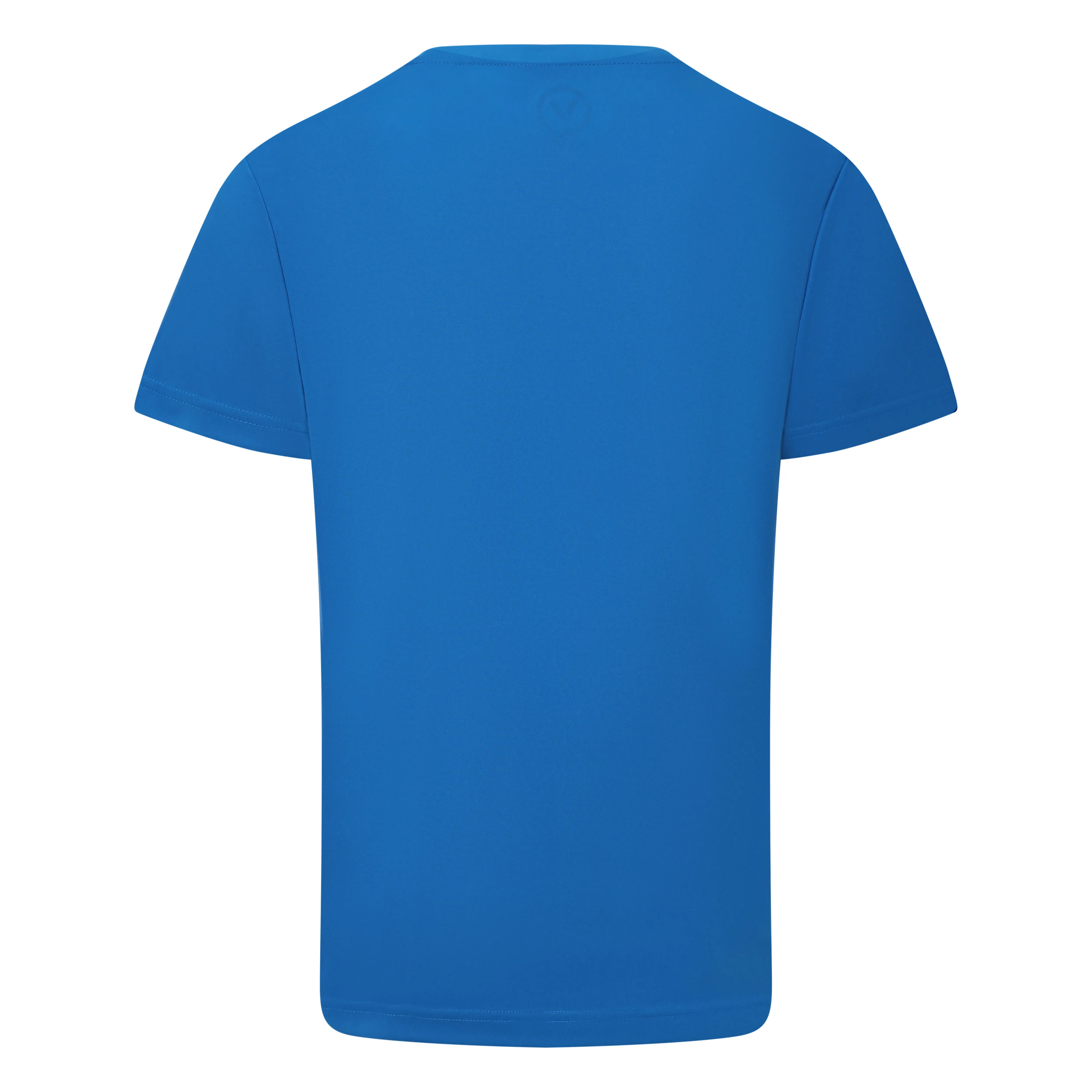 Validate Mens Performance T Blue